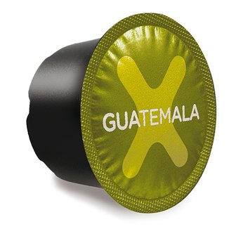 Xelecto Guatemala